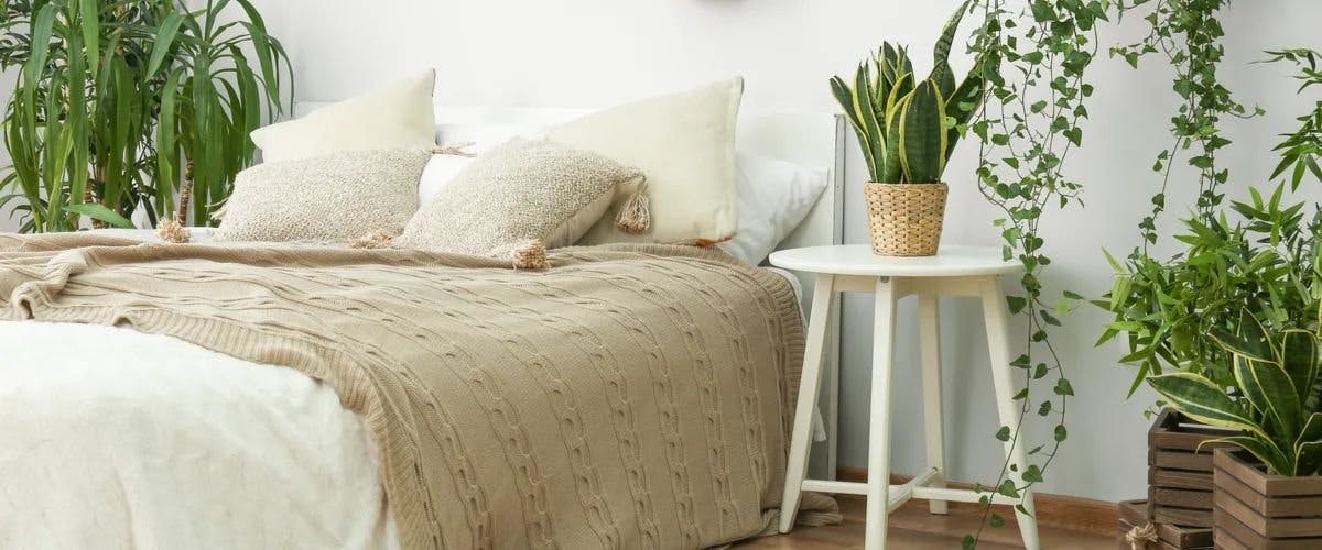 Earth Day: 7 Ways to Sleep Green and Maintain an Eco-Friendly Bedroom